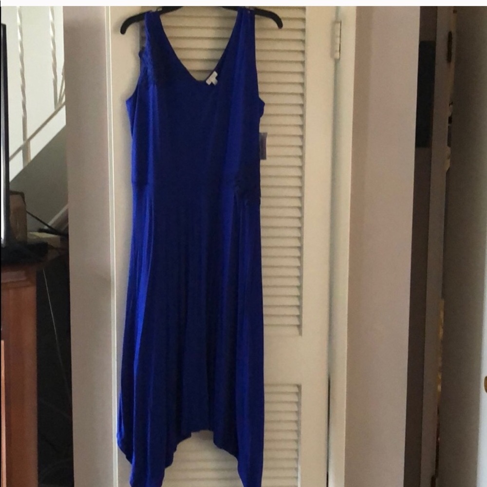Spense Royal Blue Lace Appliqué Dress
